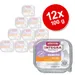 Sparpaket: 12 x 100 g Animonda Integra Protect Adult Diabetes Schale