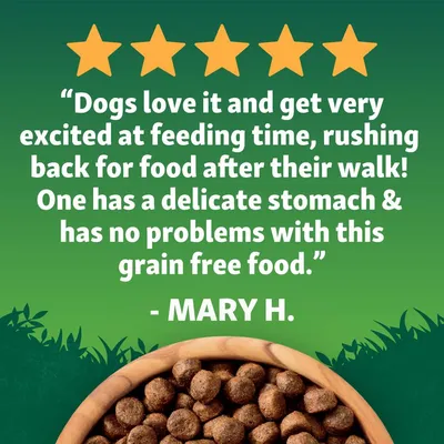 Five stars and customer review: 'Dogs love it and get very excited at feeding time, rushing back for food after their walk! One has a delicate stomach & has no problems with this grain free food.' - Mary H.