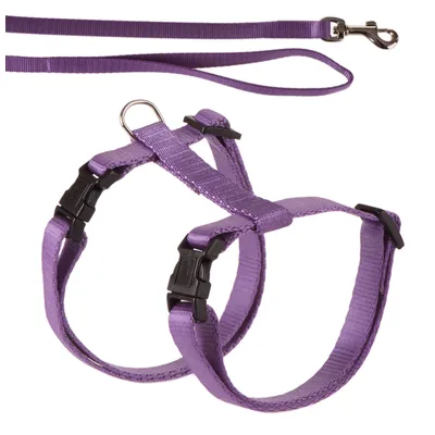 Harnais et laisse en nylon violet avec boucles en plastique noir et mousqueton métallique, sans marque visible.