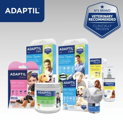 Selection of ADAPTIL dog products including Calm, Junior, Chew, and Transport. Visible text: 'Veterinary recommended', 'Clinically proven', 'Better Together'. Blue and yellow packaging.