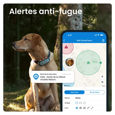 Alerte anti-fugue : chien avec collier Tractive, écran de smartphone affichant une clôture virtuelle et notification « Holly : Sortie de la clôture virtuelle Maison. »