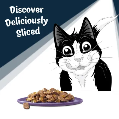Text reads 'Discover Deliciously Sliced' with a cartoon cat and a plate of sliced pet food in gravy shown in the foreground.
