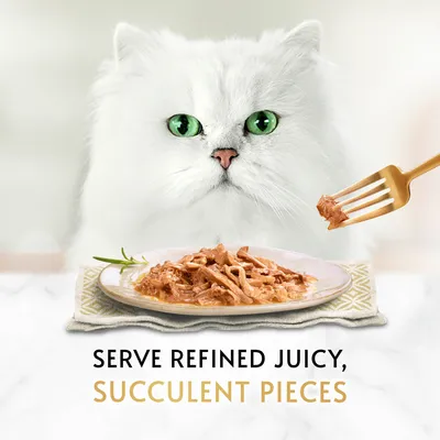 Fehér hosszúszőrű macska, előtte tányéron szaftos húscsíkok. Angol szöveg: Serve refined juicy, succulent pieces.