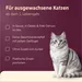 Sparpaket animonda vom Feinsten Adult 64 x 85 g