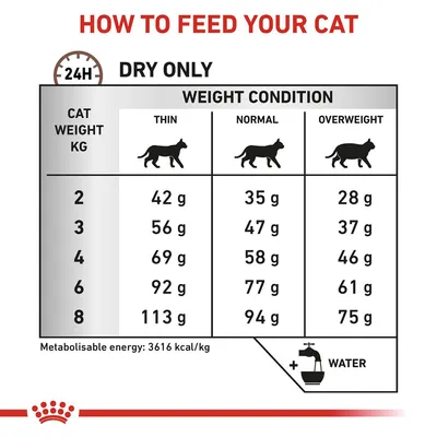 Feeding guide for cats: daily dry food amounts in grams by weight and condition. For example, 2kg cat: thin 42g, normal 35g, overweight 28g. Ensure water is available.
