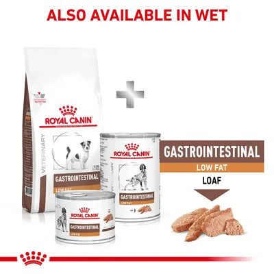 Royal Canin Gastrointestinal Low Fat food available in both dry and wet loaf forms, with packaging and product shown. Text: Also available in wet. Gastrointestinal Low Fat Loaf.