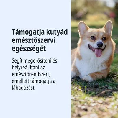 Támogatja kutyád emésztési egészségét, segít megerősíteni és helyreállítani az emésztőrendszert, valamint elősegíti a felépülést. Támogatja kutyád emésztési egészségét, segít megerősíteni és helyreállítani az emésztőrendszert, valamint elősegíti a felépülést.