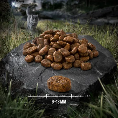 Kattenbrokjes op een steen, met maatindicatie: 9–13 mm. Eén brokje apart getoond voor formaatvergelijking.