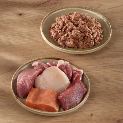 Due ciotole: sopra alimento umido sminuzzato, sotto diversi pezzi di carne cruda e pesce disposti uno accanto all'altro. Due ciotole: sopra alimento umido sminuzzato, sotto diversi pezzi di carne cruda e pesce disposti uno accanto all'altro.