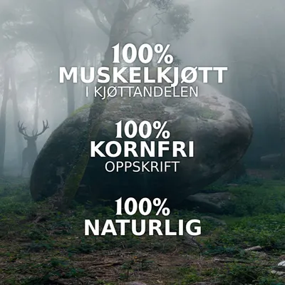 Økonomipakke Wild Freedom Adult 24 x 70 g