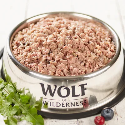 Wolf of Wilderness märkäruoka ruostumattomasta teräksestä kulhossa, ympärillä tuoreita ainesosia kuten voikukanlehtiä, mustikoita ja puolukoita.