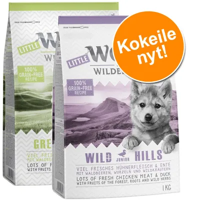 Little Wolf of Wilderness Junior -kokeilupakkaus (2 x 1 kg)