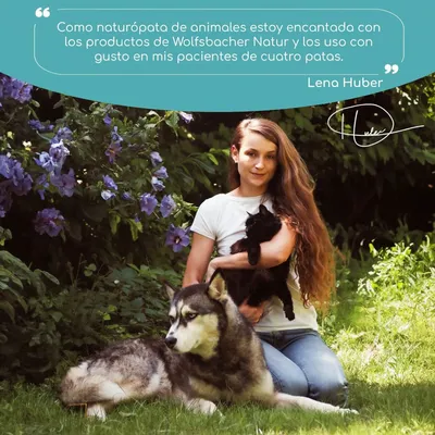 Wolfsbacher Nature Denta Vital Sticks para perros Wolfsbacher Nature Denta Vital Sticks para perros
