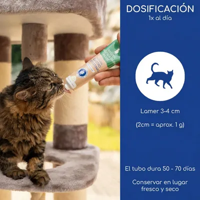 Wolfsbacher Nature Gastrointestinal Paste