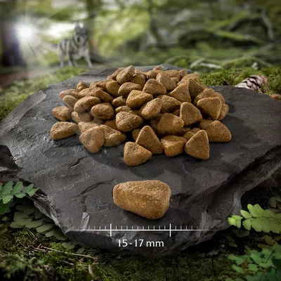 Dreieckige Kroketten auf Steinplatte, Maßangabe 15–17 mm sichtbar.