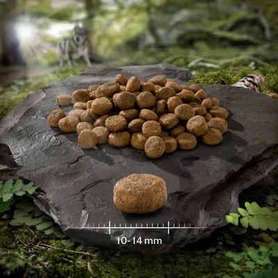 Száraz táp golyó formában kőlapra helyezve, 10-14 mm méret látható. Háttérben erdei motívum és farkas.