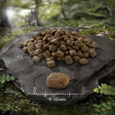 Hondenbrokken op steen, met een brok vergroot getoond en maatindicatie: 9–10 mm.