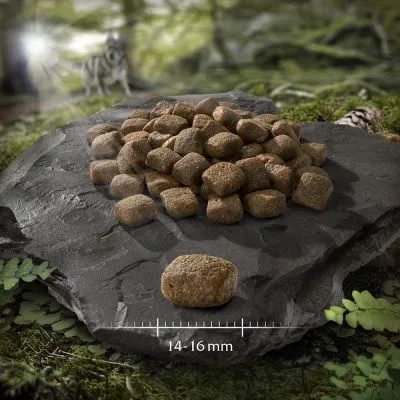 Hondenbrokken op een steen, met maatindicatie 14–16 mm zichtbaar onderaan de afbeelding.