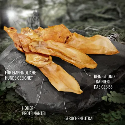 Hundesnack aus getrockneter Haut. Für empfindliche Hunde geeignet, hoher Proteinanteil, geruchsneutral, reinigt und trainiert das Gebiss.