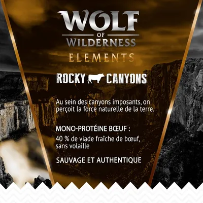 Wolf of Wilderness Elements Rocky Canyons, mono-protéine bœuf : 40 % de viande fraîche de bœuf, sans volaille. Sauvage et authentique. Texte en français.
