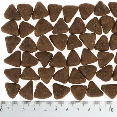 Triangular brown kibble pieces arranged in rows with a ruler below showing each piece is about 2 cm wide, illustrating the size and shape of the product.