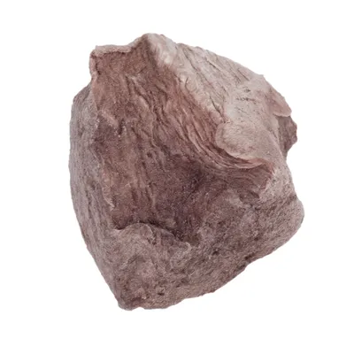 Yksittäinen ruskea, epäsäännöllisen muotoinen lihapala valkoisella taustalla. Materiaali näyttää kuivatulta lihalta.