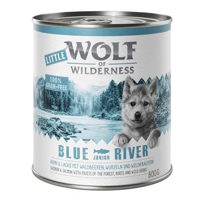 Boîte Wolf of Wilderness Little Blue River 800 g, 100% grain-free, poulet et saumon avec fruits des bois, racines et herbes sauvages. Texte en anglais et allemand visible.