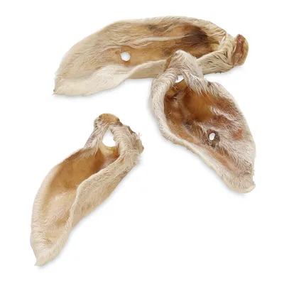 Tri posušena ušesa z vidno dlako, brez embalaže ali blagovne znamke, prikazana na belem ozadju.