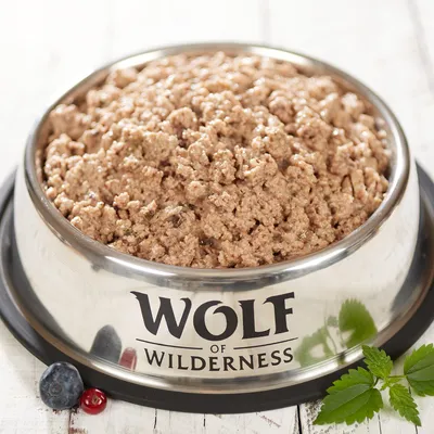 Wolf of Wilderness märkäruoka ruostumattomasta teräskulhosta, koristeltu mustikoilla, punaisilla marjoilla ja vihreillä lehdillä.