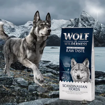Sac de croquettes Wolf of Wilderness Raw Taste Scandinavian Fjords, sans céréales ni pommes de terre, avec un chien devant un paysage nordique. Texte visible : 100 % grain-free & potato-free recipe.