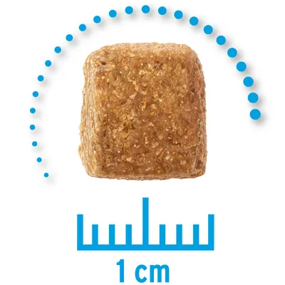 Kawałek karmy o wymiarze 1 cm, pokazany na tle niebieskiej miarki z oznaczeniem „1 cm”