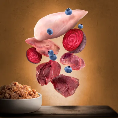 Raw chicken breast, beef chunks, organ meats, beetroot slices and blueberries above a bowl of shredded pet food on wooden table, all ingredients clearly visible.