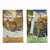 Pack misto: Rocky Mountain + Canyon River
