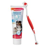 Lot beaphar Brosse à dent + dentifrice pour chien et chat