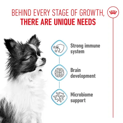 Royal Canin X-Small Puppy - 2 x 3 кг