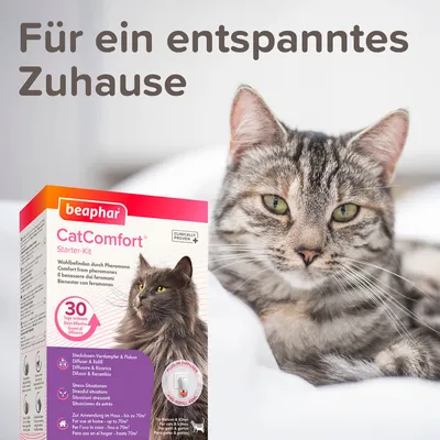 Beaphar CatComfort Starter-Kit. Wohlbefinden durch Pheromone, klinisch bewiesen. Für Katzen und Kätzchen, wirksam bis zu 30 Tage. Für ein entspanntes Zuhause.
