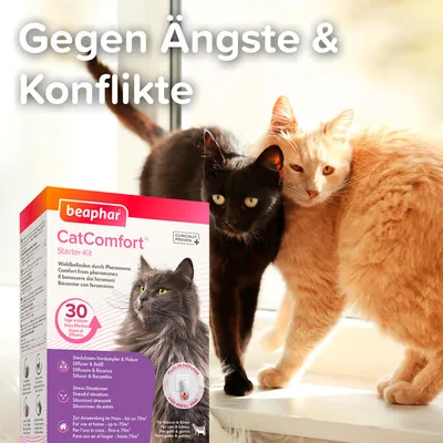 beaphar CatComfort Starter-Kit, boîte visible avec texte en allemand « Gegen Ängste & Konflikte », deux chats à l’arrière-plan. Texte multilingue sur la boîte, usage pour chats et chatons.