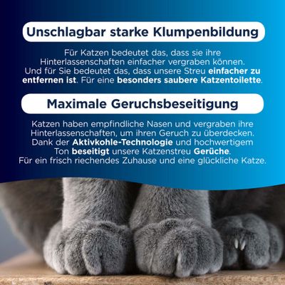 Ever Clean Super Premium Clumping Cat Litter, unscented, extra strong clumping, maximale Geruchsbeseitigung mit Aktivkohle, kontinuierliche Frische, 10L Low Dust Formula.
