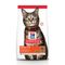 Hill's Science Plan Adult Lamb & Rice 1.5kg
