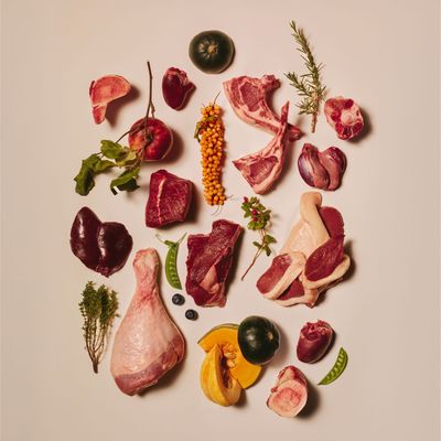 Différents morceaux de viande crue, abats, os, potiron, pomme, baies, gousses de pois et herbes illustrés comme aperçu des ingrédients pour l’alimentation animale.