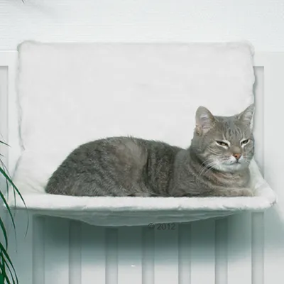 Chat gris allongé sur un hamac blanc fixé à un radiateur, surface en tissu doux visible, structure de support non couverte. Chat gris allongé sur un hamac blanc fixé à un radiateur, surface en tissu doux visible, structure de support non couverte.
