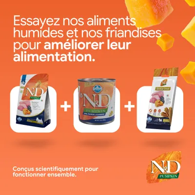 Essayez nos aliments humides et snacks N&D Pumpkin, pour améliorer l’alimentation. Développés scientifiquement pour agir en synergie.