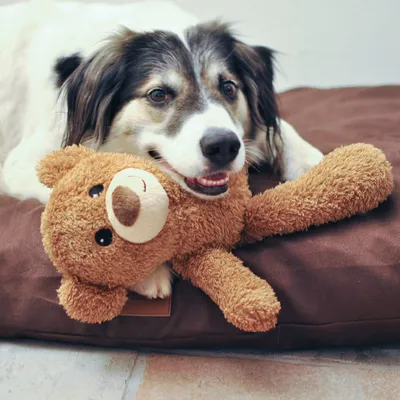 Brown plush toy in bear shape on a brown dog cushion.