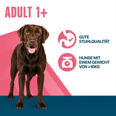 ADULT 1+, gute Stuhlqualität, Hunde mit einem Gewicht von über 10 kg.