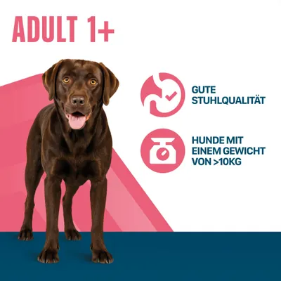 ADULT 1+, gute Stuhlqualität, Hunde mit einem Gewicht von über 10 kg. ADULT 1+, gute Stuhlqualität, Hunde mit einem Gewicht von über 10 kg.