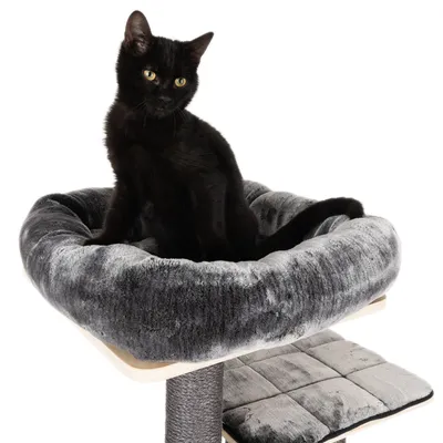 Chat noir assis sur un arbre à chat gris en peluche avec plateforme et coussin visibles, structure en tissu et poteau recouvert de corde.