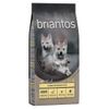Briantos Junior Huhn & Kartoffel - GETREIDEFREIE Rezeptur Sparpaket: 2 x 12 kg