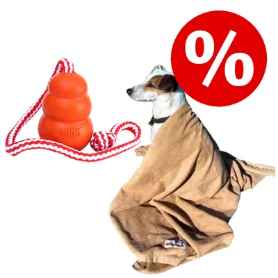 Jouet pour chien KONG orange avec corde rouge et blanche, chien recouvert d'une couverture beige, symbole de réduction en pourcentage visible.