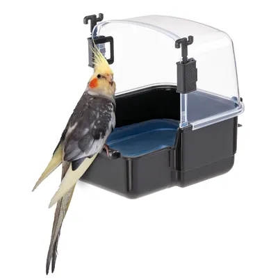 Valkparkiet zit op een zwart vogelbad met blauwe bodem en transparant deksel.