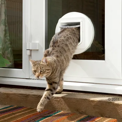 SureFlap katteluke med chip